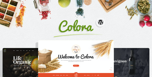 test Colora - Organic Responsive WooCommerce WordPress Theme 