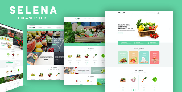 test Selena - Organic Food Store Theme for WooCommerce WordPress 