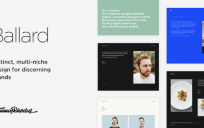 Test du thème WordPress Ballard , découvrez notre avis