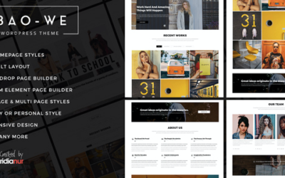 Test du thème WordPress Baowe , voici notre avis