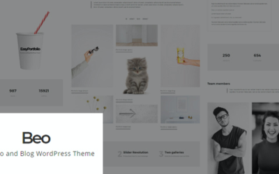Test du thème WordPress Beo , découvrez notre avis