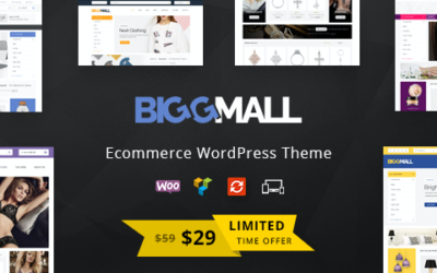 Test du thème WordPress BiggMall , voici notre avis