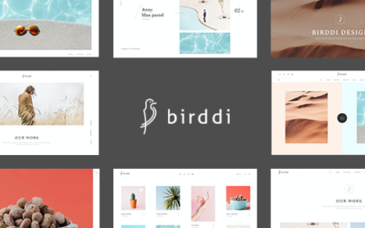 Test du thème WordPress Birddi , découvrez notre avis