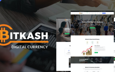 Test du thème WordPress Bitkash , voici notre avis