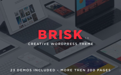 Test du thème WordPress Brisk , voici notre avis