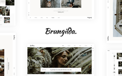 Test du thème WordPress Brungilda , voici notre avis