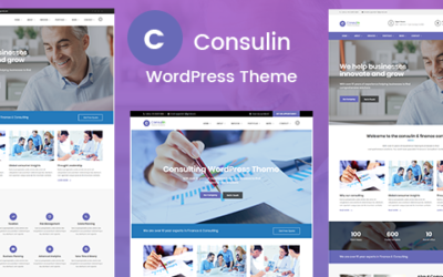 Test du thème WordPress Consulin , voici notre avis