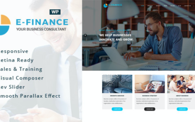 Test du thème WordPress Efinance , voici notre avis