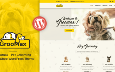 Test du thème WordPress Groomax , voici notre avis