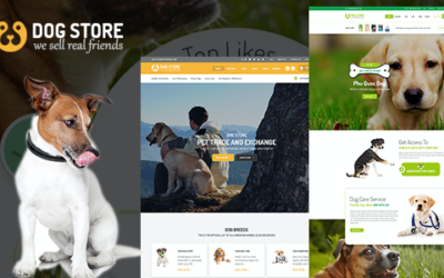 Test du thème WordPress Haustiere , voici notre avis