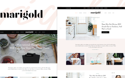 Test du thème WordPress Marigold , voici notre avis