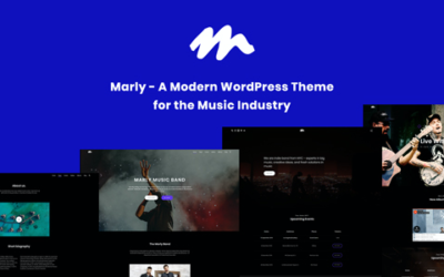 Test du thème WordPress Marly , découvrez notre avis