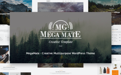 Test du thème WordPress MegaMate , découvrez notre avis