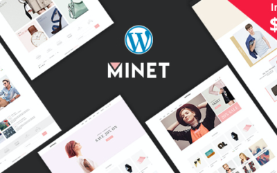 Test du thème WordPress Minet , découvrez notre avis