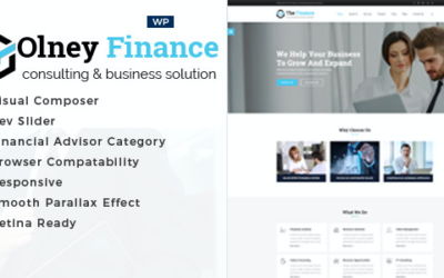 Test du thème WordPress Olney Finance , voici notre avis