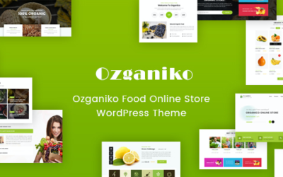 Test du thème WordPress Ozganiko , découvrez notre avis