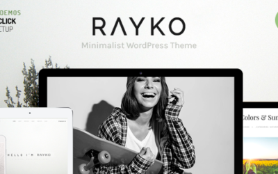 Test du thème WordPress Rayko , découvrez notre avis