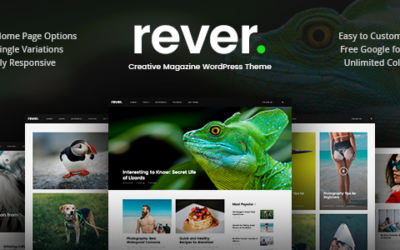 Test du thème WordPress Rever , découvrez notre avis