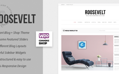 Test du thème WordPress Roosevelt , découvrez notre avis