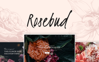 Test du thème WordPress Rosebud , voici notre avis