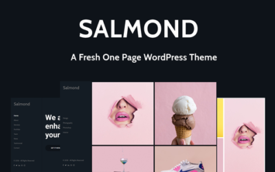 Test du thème WordPress Salmond , découvrez notre avis