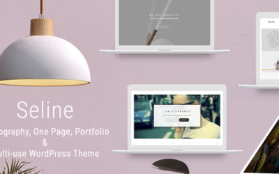 Test du thème WordPress Seline , voici notre avis