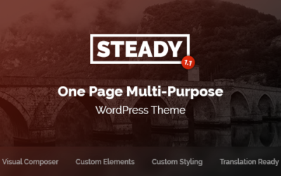 Test du thème WordPress Steady , voici notre avis