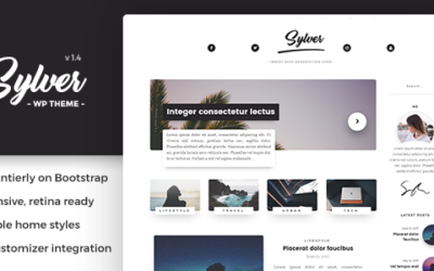 Test du thème WordPress Sylver , voici notre avis