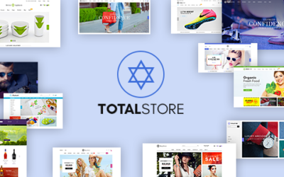 Test du thème WordPress TotalStore , découvrez notre avis