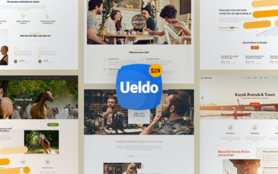 Test du thème WordPress Ueldo , découvrez notre avis