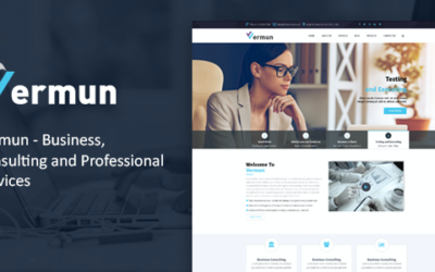 Test du thème WordPress Vermun , découvrez notre avis