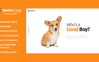 Test du thème WordPress Welsh Corgi , découvrez notre avis